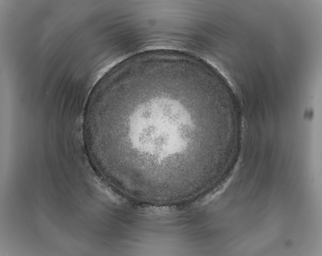 X0000090951121200708161750