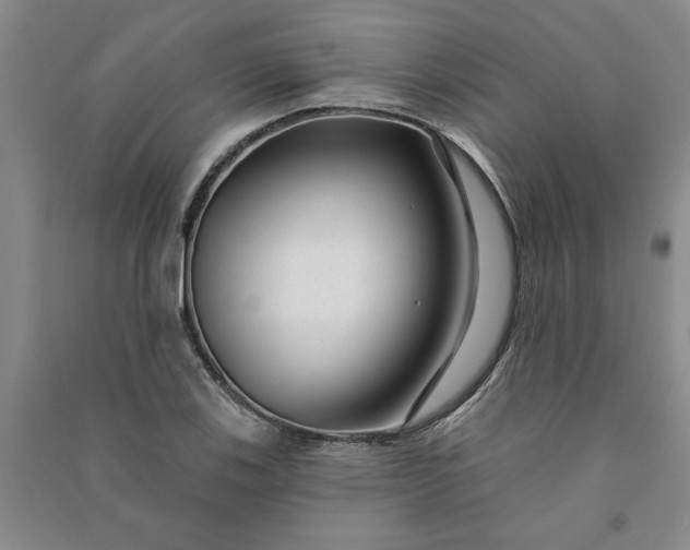 X0000090951123200708161750