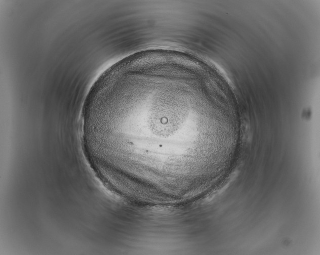 X0000090951125200708161751