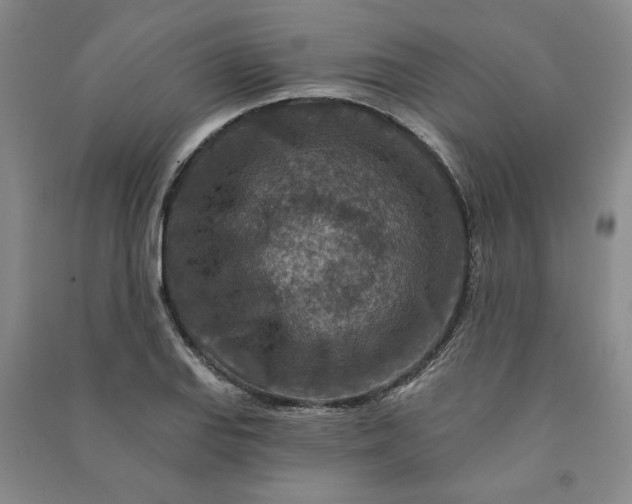 X0000090951127200708161751