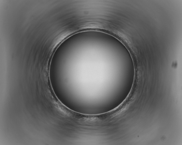 X0000090951129200708161751