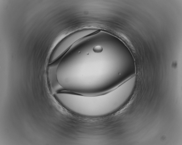 X0000090951130200708161751