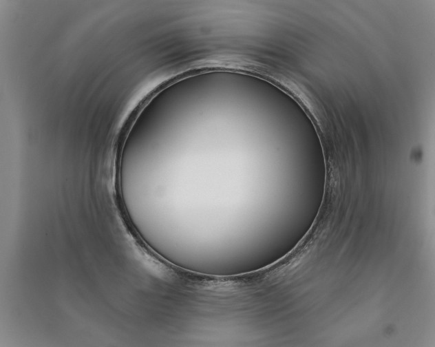 X0000090951131200708161751