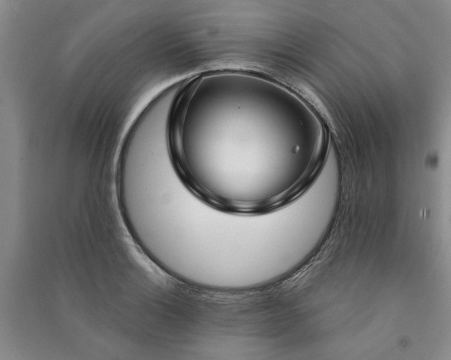 X0000090951132200708161751