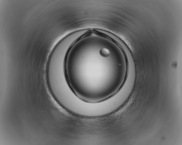 X0000090951134200708161751