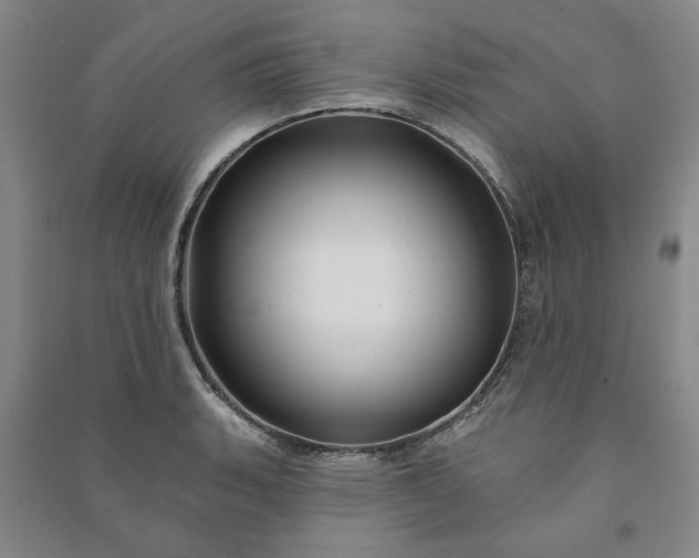 X0000090951135200708161751
