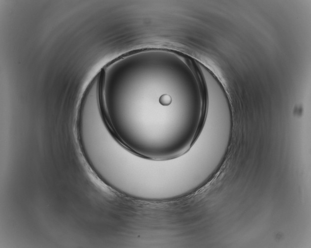 X0000090951136200708161751