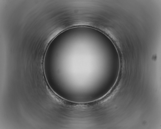 X0000090951137200708161751