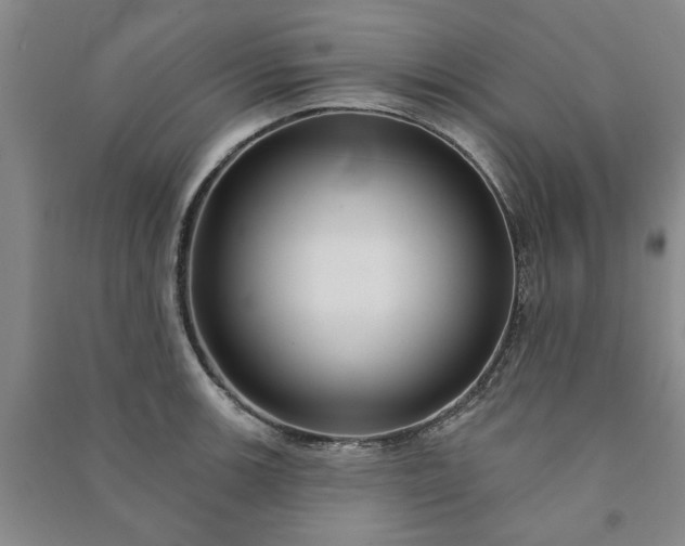 X0000090951139200708161751