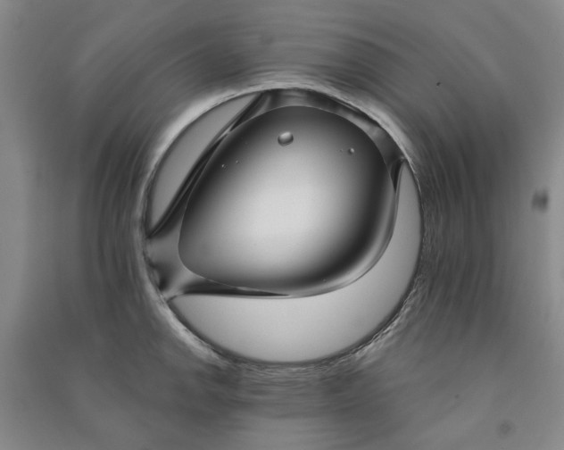 X0000090951142200708161751