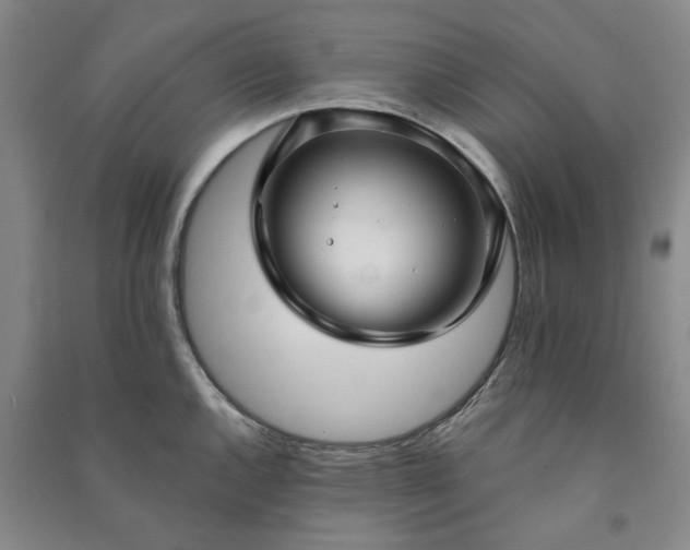 X0000090951144200708161751