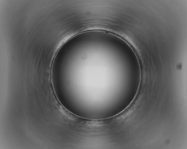 X0000090951145200708161751