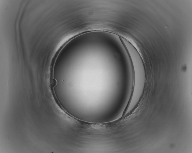 X0000090951147200708161751
