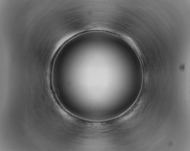 X0000090951149200708161751
