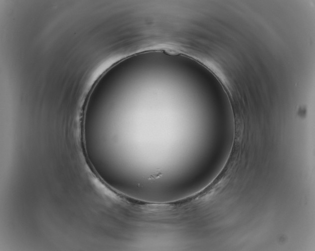 X0000090951151200708161751