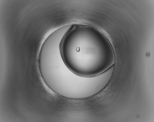 X0000090951152200708161751