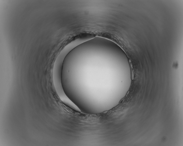 X0000090951153200708161750
