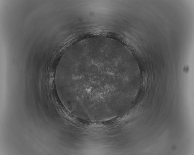 X0000090951154200708161750