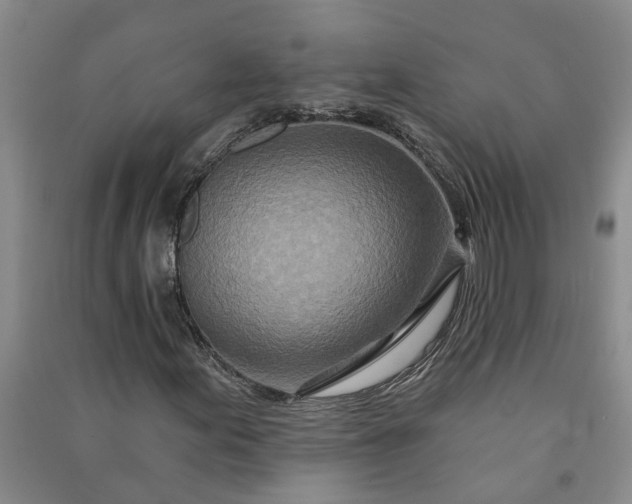 X0000090951155200708161750