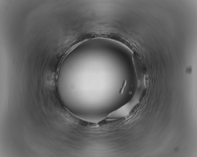 X0000090951156200708161750