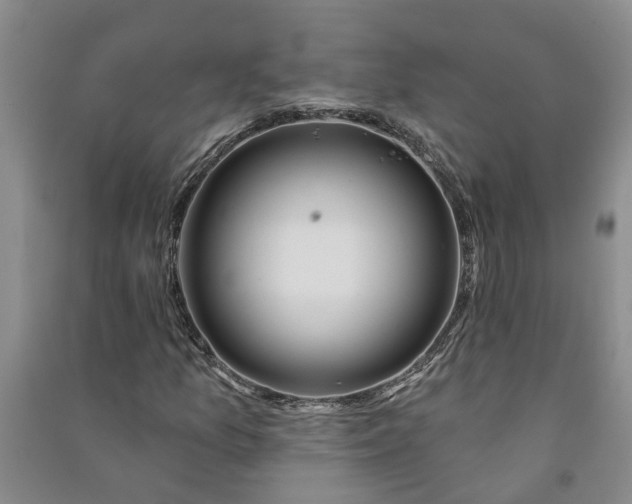 X0000090951157200708161750