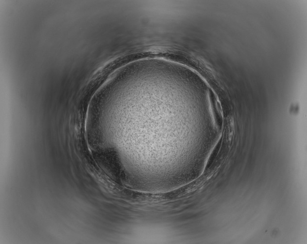 X0000090951158200708161750