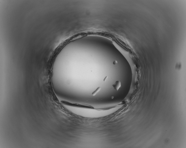 X0000090951160200708161750