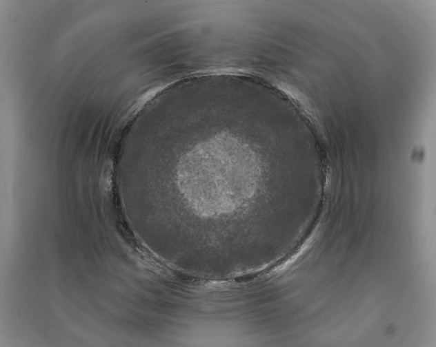 X0000090951161200708161750