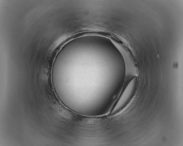 X0000090951163200708161750