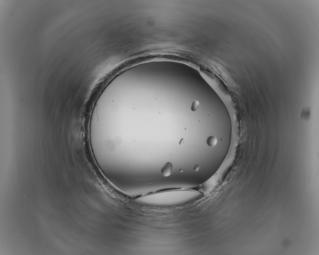 X0000090951164200708161750