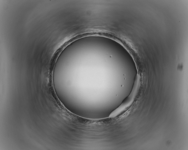 X0000090951165200708161750
