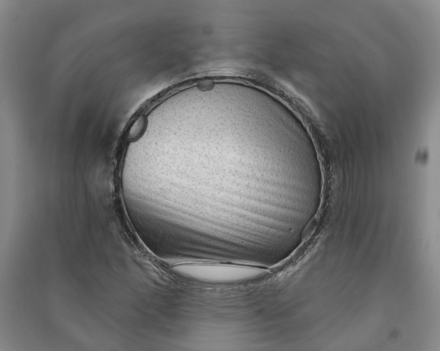 X0000090951166200708161750