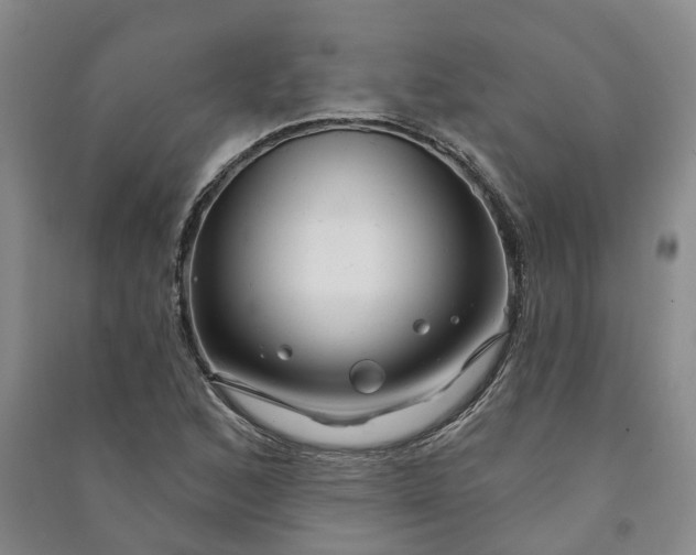 X0000090951168200708161750