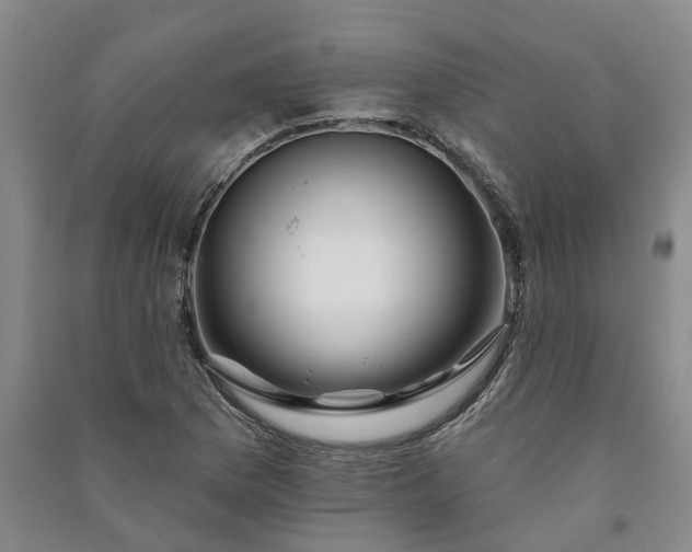 X0000090951169200708161750