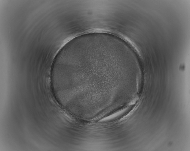 X0000090951170200708161750