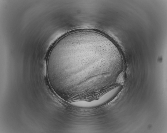 X0000090951171200708161750