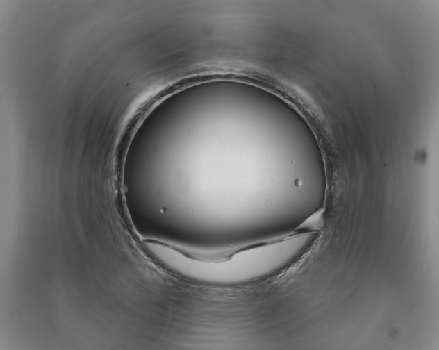 X0000090951172200708161750