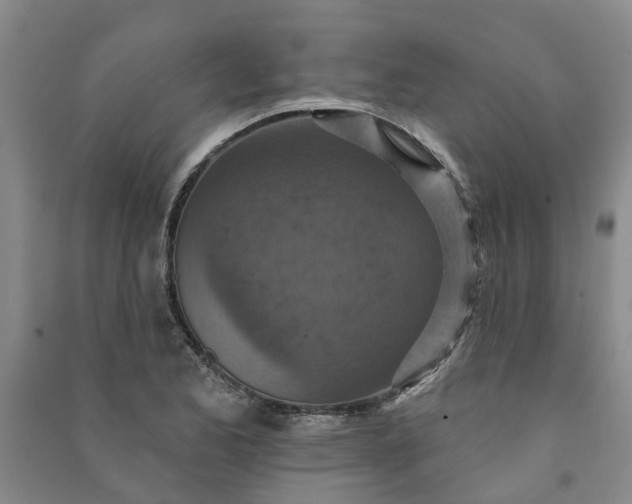 X0000090951173200708161750