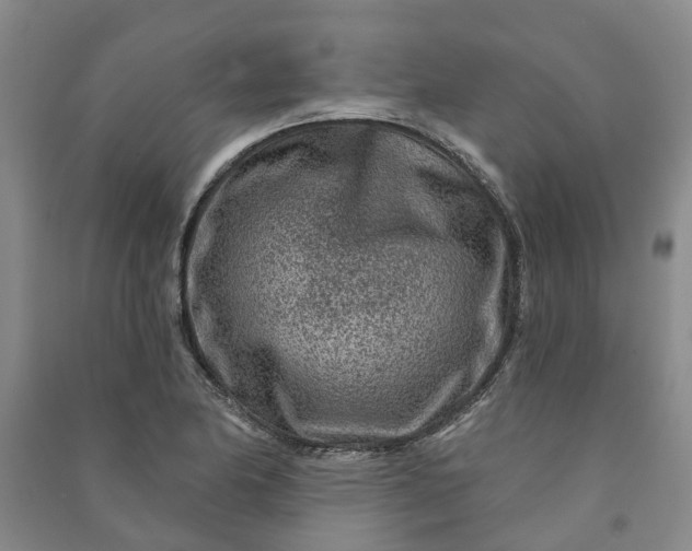 X0000090951174200708161750