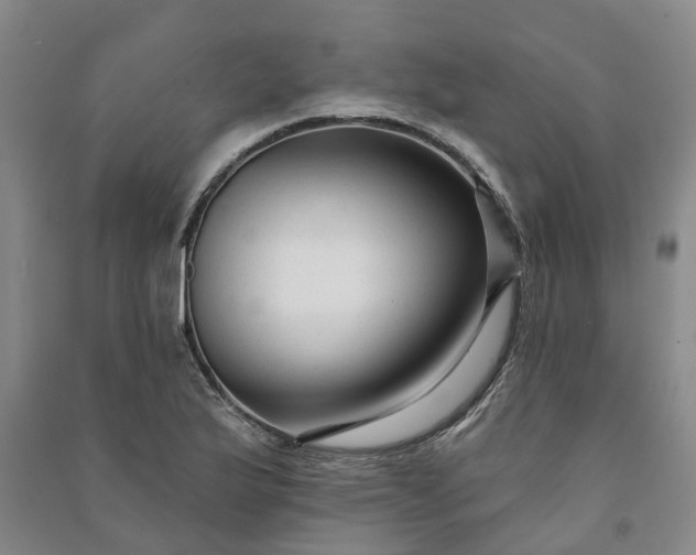 X0000090951175200708161750