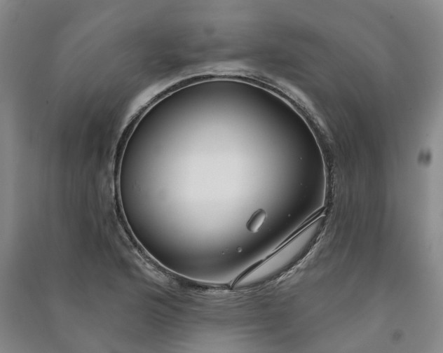 X0000090951176200708161750