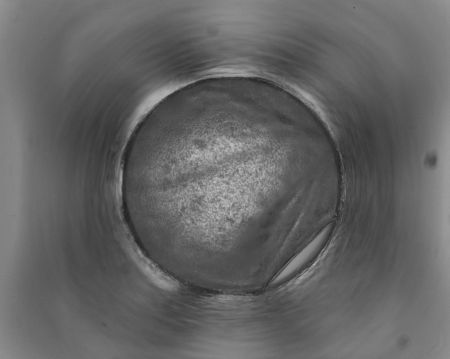 X0000090951179200708161750