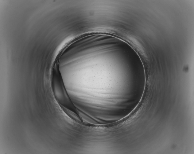 X0000090951180200708161750