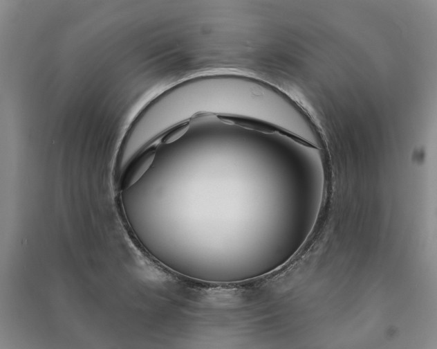 X0000090951181200708161750