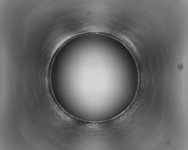 X0000090951182200708161750