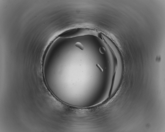 X0000090951184200708161750