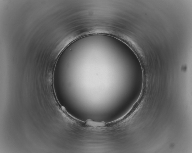 X0000090951185200708161750