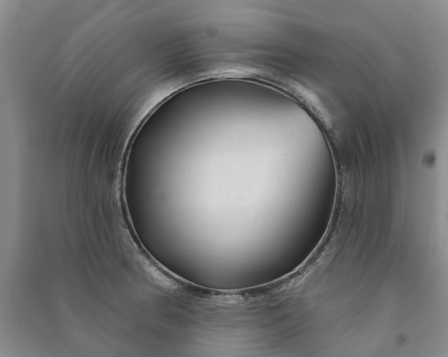 X0000090951186200708161750