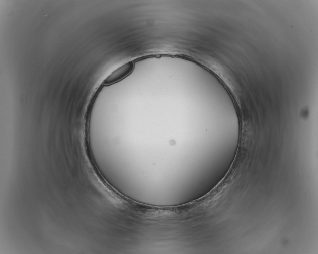 X0000090951187200708161750