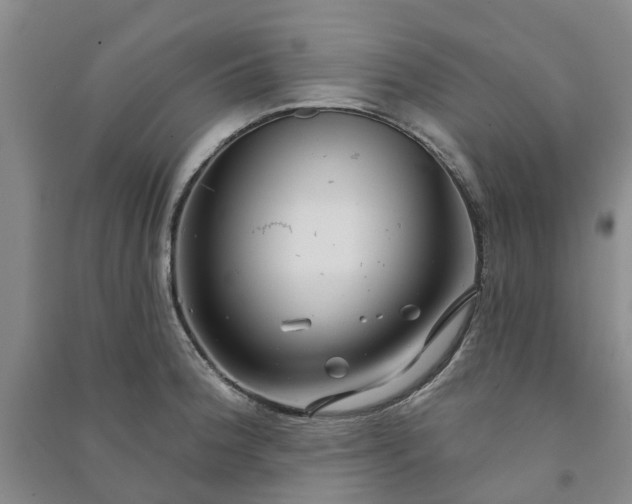 X0000090951188200708161750